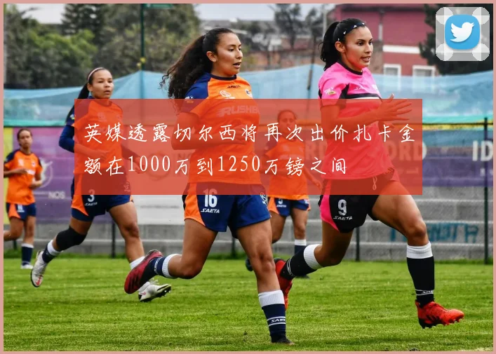 英媒透露切尔西将再次出价扎卡金额在1000万到1250万镑之间